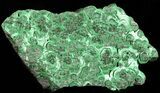 Fibrous Malachite Crystal Cluster - Congo #45337-3